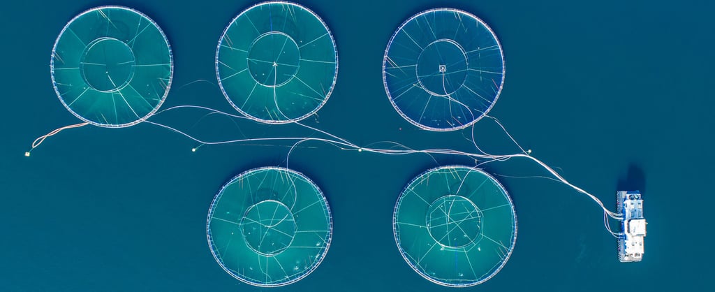 Vista aérea de estruturas circulares de aquicultura no mar com embarcação de apoio