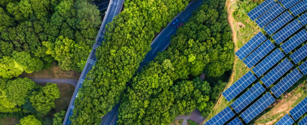 Trees and solar panels