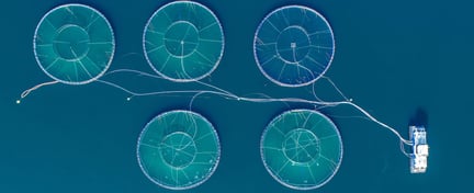 Vista aérea de estruturas circulares de aquicultura no mar com embarcação de apoio