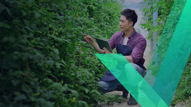 Alimentando el futuro