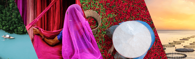 Collage de cuatro escenas: un bote en un río turquesa dentro de un bosque, una persona con tela rosada frente a cortinas rojas, una vista cenital de clasificación de chiles con sombrero cónico y centros de cultivo de peces al atardecer en el mar, con redes circulares