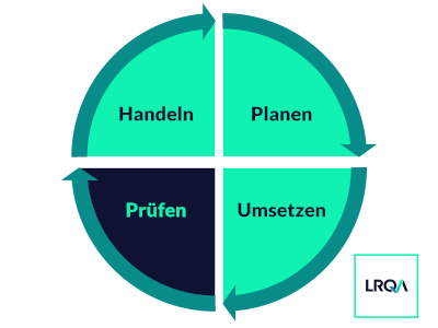 PDCA-Zyklus prüfen