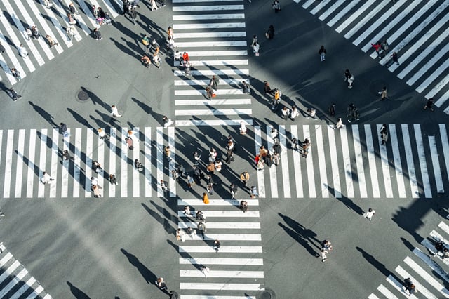 Programas personalizados para la gestión avanzada de riesgos