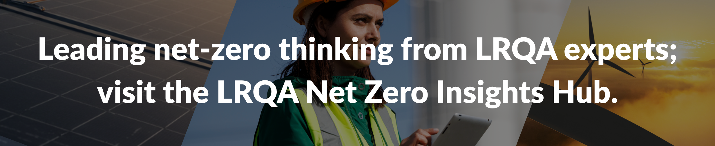 Net zero banner