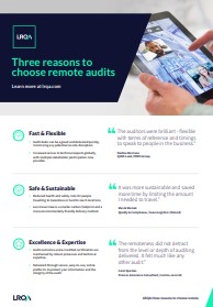 Remote Audit Infographic