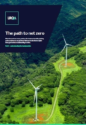 Path to net zero