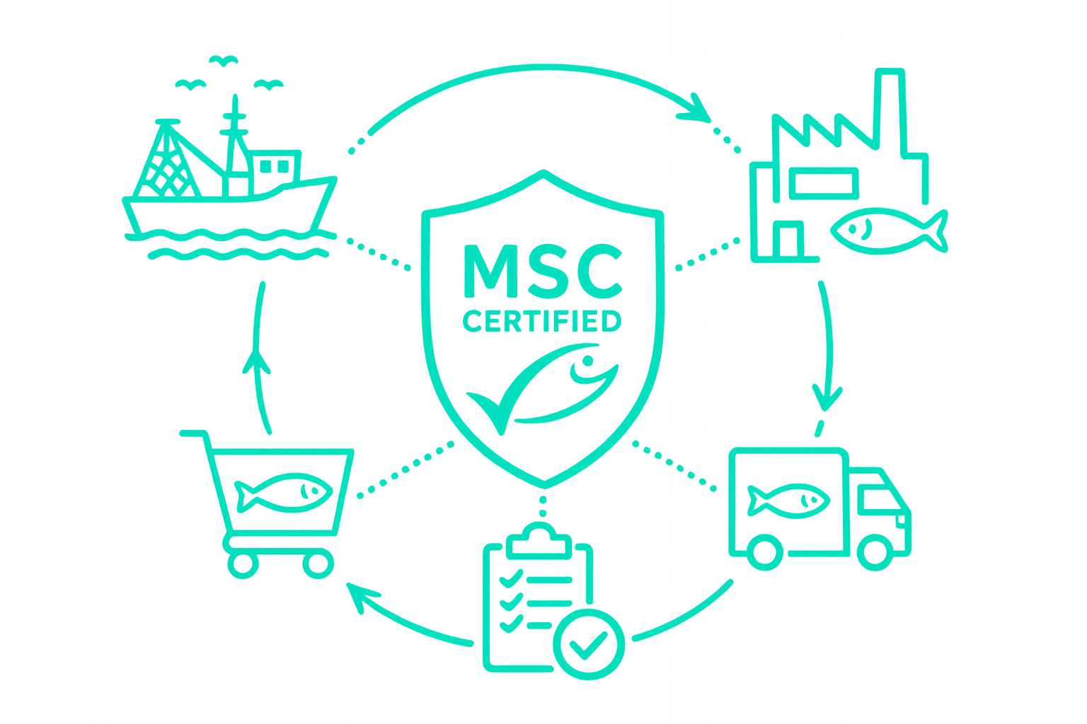 MSC-certified seafood supply chain illustration with connected traceability icons.