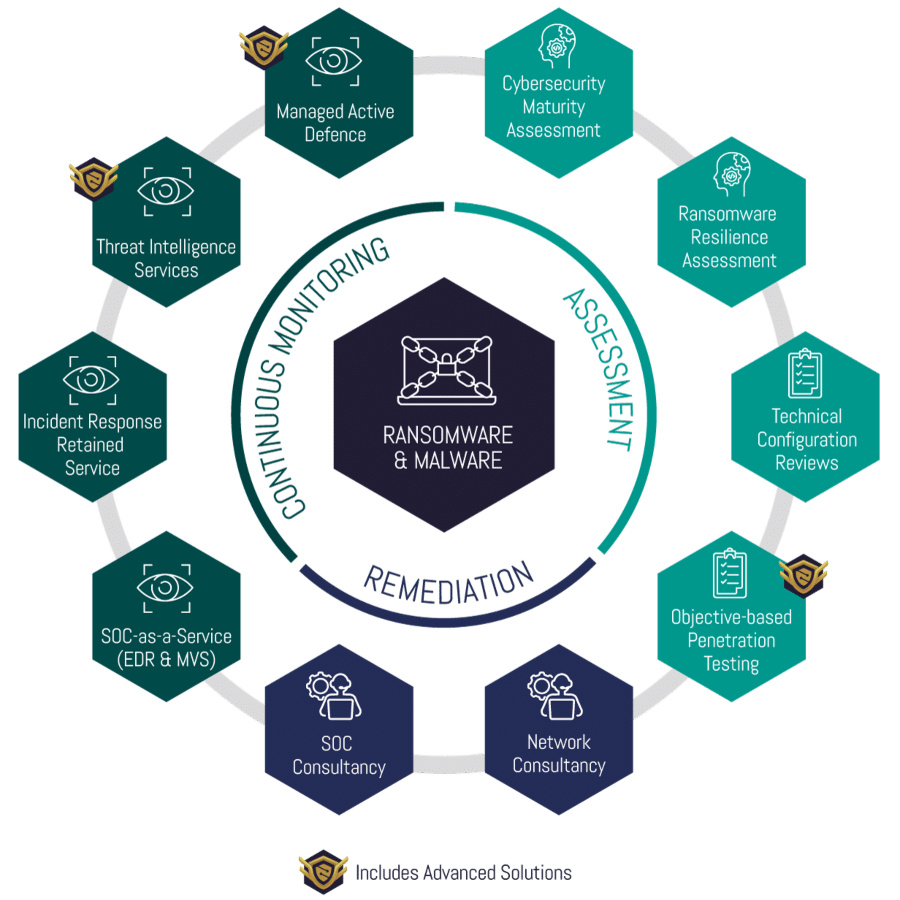 Ransomware & Malware Cyber Package