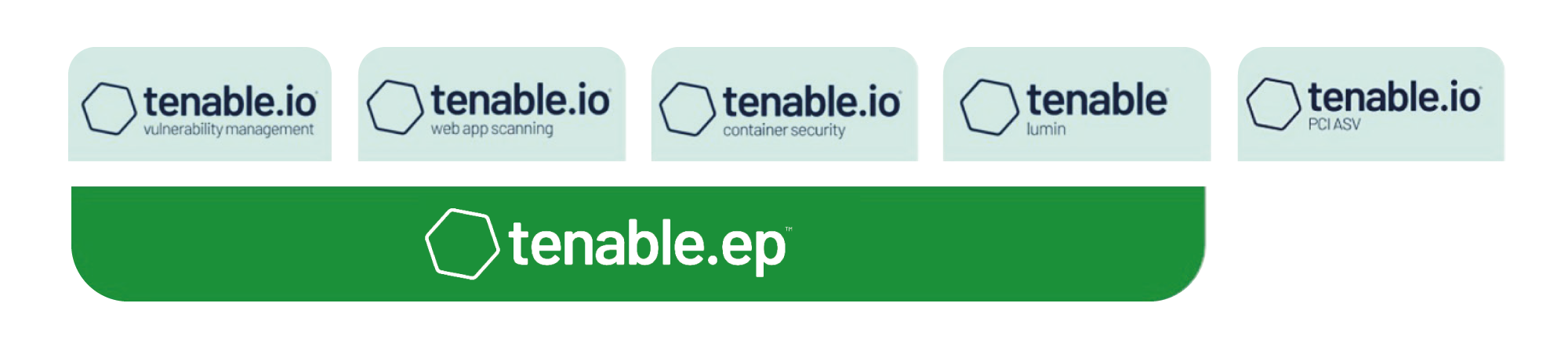 Managed Vulnerability Scanning | Tenable