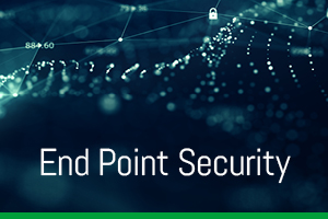 End Point Security