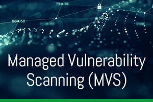 Managed Vulnerability Scanning (MVS)